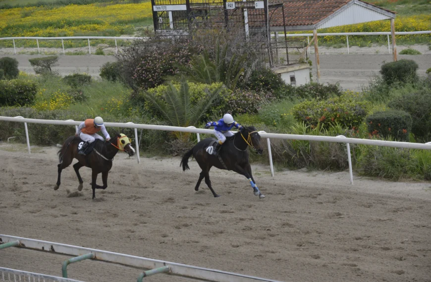 ΙΠΠΟΔΡΟΜΟΣ ΚΥΠΡΟΣ / IPPODROMOS KYPROS ΜΑΜΑΝΤΟΥ - 01/04/2026