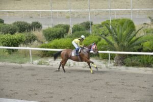 ΙΠΠΟΔΡΟΜΟΣ ΚΥΠΡΟΣ / IPPODROMOS KYPROS