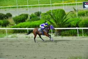 ΙΠΠΟΔΡΟΜΟΣ ΚΥΠΡΟΣ / IPPODROMOS KYPROS ΤΙΝΚΕΡ ΜΠΕΛ - 15/04/2026