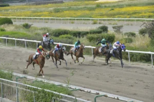 ΙΠΠΟΔΡΟΜΟΣ ΚΥΠΡΟΣ / IPPODROMOS KYPROS ΓΚΡΕΙΤΣΠΙΡΙΤ - 19/04/2026