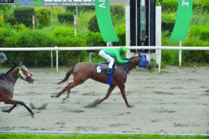 ΙΠΠΟΔΡΟΜΟΣ ΚΥΠΡΟΣ / IPPODROMOS KYPROS ΧΑΒΑΗ ΛΑΙΟΝ - 05/04/2026