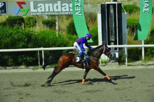 ΙΠΠΟΔΡΟΜΟΣ ΚΥΠΡΟΣ / IPPODROMOS KYPROS