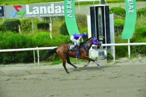 ΙΠΠΟΔΡΟΜΟΣ ΚΥΠΡΟΣ / IPPODROMOS KYPROS ΤΙΝΚΕΡ ΜΠΕΛ - 15/04/2026