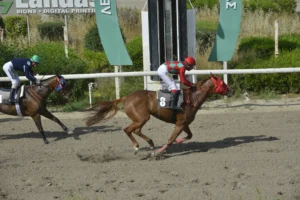 ΙΠΠΟΔΡΟΜΟΣ ΚΥΠΡΟΣ / IPPODROMOS KYPROS ΦΡΑΝΤΖΕΣΚΑ 26/04/2026