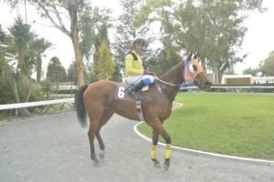 ΙΠΠΟΔΡΟΜΟΣ ΚΥΠΡΟΣ / IPPODROMOS KYPROS