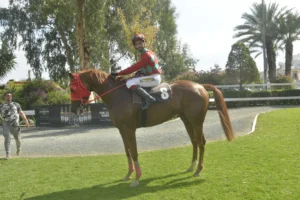 ΙΠΠΟΔΡΟΜΟΣ ΚΥΠΡΟΣ / IPPODROMOS KYPROS ΦΡΑΝΤΖΕΣΚΑ 26/04/2026