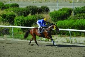 ΙΠΠΟΔΡΟΜΟΣ ΚΥΠΡΟΣ / IPPODROMOS KYPROS