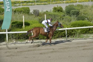 ΙΠΠΟΔΡΟΜΟΣ ΚΥΠΡΟΣ / IPPODROMOS KYPROS - ΕΣΠΡΕΣΟ - 13/04/2026