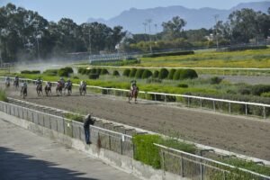 ΙΠΠΟΔΡΟΜΟΣ ΚΥΠΡΟΣ / IPPODROMOS KYPROS ΕΙΜΔΕΣΤΑΡΣ - 08/04/2026