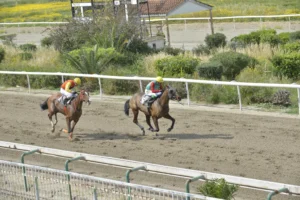 ΙΠΠΟΔΡΟΜΟΣ ΚΥΠΡΟΣ / IPPODROMOS KYPROS ΜΙΛΒΑΝΙΑ - 19/04/2026