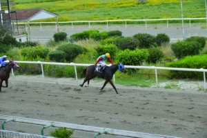 ΙΠΠΟΔΡΟΜΟΣ ΚΥΠΡΟΣ / IPPODROMOS KYPROS ΜΙΛΒΑΣ ΓΟΥΙΖΝΤΟΜ - 15/04/2026