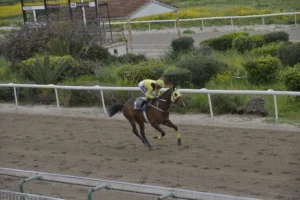 ΙΠΠΟΔΡΟΜΟΣ ΚΥΠΡΟΣ / IPPODROMOS KYPROS