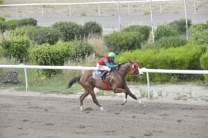 ΙΠΠΟΔΡΟΜΟΣ ΚΥΠΡΟΣ / IPPODROMOS KYPROS