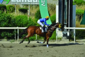 ΙΠΠΟΔΡΟΜΟΣ ΚΥΠΡΟΣ / IPPODROMOS KYPROS ΑΝΔΡΙΑΝΗΣΤΑΝΚΕΡΤΟΝ - 29/04/2026