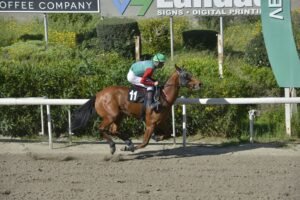 ΙΠΠΟΔΡΟΜΟΣ ΚΥΠΡΟΣ / IPPODROMOS KYPROS ΕΙΜΔΕΣΤΑΡΣ - 08/04/2026