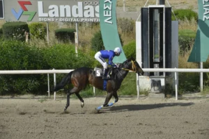 ΙΠΠΟΔΡΟΜΟΣ ΚΥΠΡΟΣ / IPPODROMOS KYPROS ΜΑΜΑΝΤΟΥ 26/04/2026