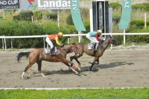 ΙΠΠΟΔΡΟΜΟΣ ΚΥΠΡΟΣ / IPPODROMOS KYPROS ΜΙΛΒΑΝΙΑ - 19/04/2026