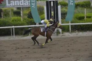 ΙΠΠΟΔΡΟΜΟΣ ΚΥΠΡΟΣ / IPPODROMOS KYPROS ΠΑΡΜΕΝΙΩΝ - 01/04/2026