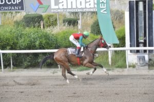 ΙΠΠΟΔΡΟΜΟΣ ΚΥΠΡΟΣ / IPPODROMOS KYPROS