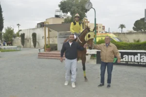 ΙΠΠΟΔΡΟΜΟΣ ΚΥΠΡΟΣ / IPPODROMOS KYPROS