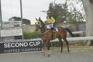 ΙΠΠΟΔΡΟΜΟΣ ΚΥΠΡΟΣ / IPPODROMOS KYPROS ΠΑΡΜΕΝΙΩΝ - 01/04/2026