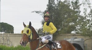 ΙΠΠΟΔΡΟΜΟΣ ΚΥΠΡΟΣ / IPPODROMOS KYPROS