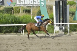 ΙΠΠΟΔΡΟΜΟΣ ΚΥΠΡΟΣ / IPPODROMOS KYPROS ΑΝΔΡΙΑΝΗΣΤΑΝΚΕΡΤΟΝ - 19/04/2026