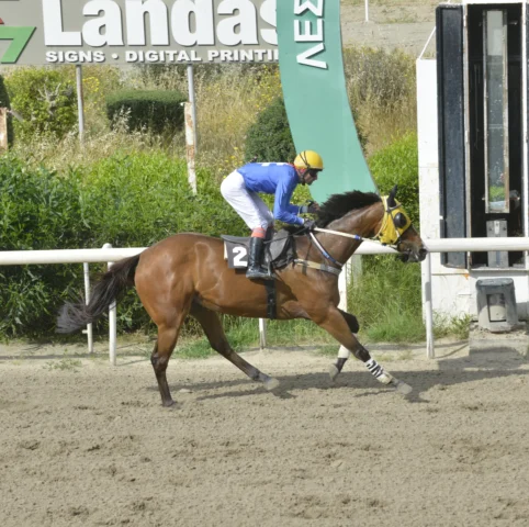 ΙΠΠΟΔΡΟΜΟΣ ΚΥΠΡΟΣ / IPPODROMOS KYPROS ΑΝΔΡΙΑΝΗΣΤΑΝΚΕΡΤΟΝ - 19/04/2026