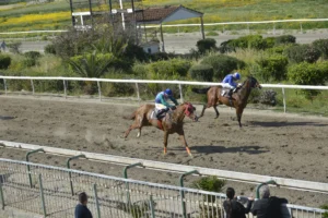 ΙΠΠΟΔΡΟΜΟΣ ΚΥΠΡΟΣ / IPPODROMOS KYPROS - ΓΚΟΛΝΤΕΝ ΣΠΟΤ - 13/04/2026