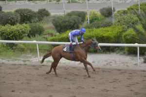 ΙΠΠΟΔΡΟΜΟΣ ΚΥΠΡΟΣ / IPPODROMOS KYPROS ΙΦΙΓΕΝΕΙΑ - 01/04/2026