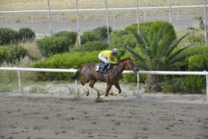 ΙΠΠΟΔΡΟΜΟΣ ΚΥΠΡΟΣ / IPPODROMOS KYPROS