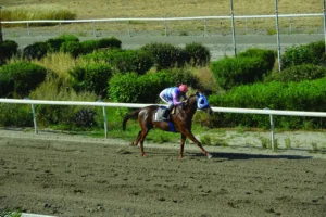 ΙΠΠΟΔΡΟΜΟΣ ΚΥΠΡΟΣ / IPPODROMOS KYPROS ΟΝΗΣΙΛΟΣ - 29/04/2026