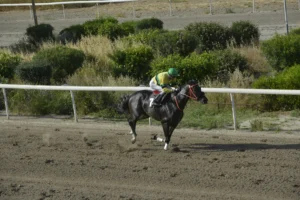 ΙΠΠΟΔΡΟΜΟΣ ΚΥΠΡΟΣ / IPPODROMOS KYPROS ΣΤΑΥΡΑΕΤΟΣ 26/04/2026