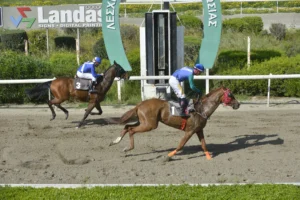 ΙΠΠΟΔΡΟΜΟΣ ΚΥΠΡΟΣ / IPPODROMOS KYPROS - ΓΚΟΛΝΤΕΝ ΣΠΟΤ - 13/04/2026