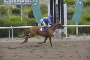 ΙΠΠΟΔΡΟΜΟΣ ΚΥΠΡΟΣ / IPPODROMOS KYPROS ΙΦΙΓΕΝΕΙΑ - 01/04/2026