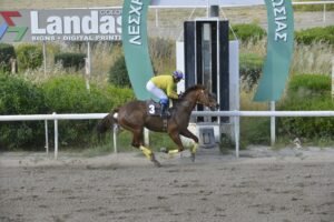 ΙΠΠΟΔΡΟΜΟΣ ΚΥΠΡΟΣ / IPPODROMOS KYPROS