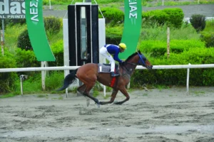 ΙΠΠΟΔΡΟΜΟΣ ΚΥΠΡΟΣ / IPPODROMOS KYPROS