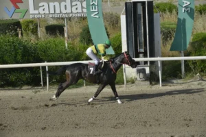 ΙΠΠΟΔΡΟΜΟΣ ΚΥΠΡΟΣ / IPPODROMOS KYPROS ΣΤΑΥΡΑΕΤΟΣ 26/04/2026