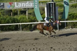 ΙΠΠΟΔΡΟΜΟΣ ΚΥΠΡΟΣ / IPPODROMOS KYPROS ΔΙΕΥΘΥΝΤΗΣ - 08/04/2026