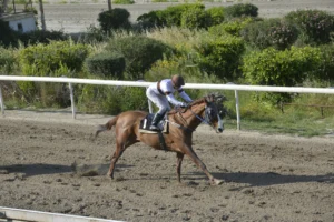 ΙΠΠΟΔΡΟΜΟΣ ΚΥΠΡΟΣ / IPPODROMOS KYPROS - ΕΣΣΑΠΕ - 13/04/2026