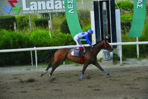 ΙΠΠΟΔΡΟΜΟΣ ΚΥΠΡΟΣ / IPPODROMOS KYPROS ΕΛΛΗΝΟΠΑΙΔΟ - 15/04/2026