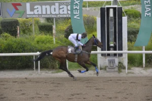 ΙΠΠΟΔΡΟΜΟΣ ΚΥΠΡΟΣ / IPPODROMOS KYPROS ΕΠΑΜΕΙΝΩΝΤΑΣ - 01/04/2026