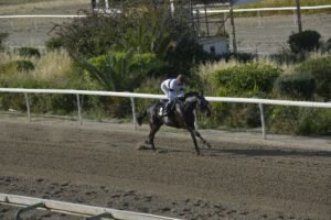 ΙΠΠΟΔΡΟΜΟΣ ΚΥΠΡΟΣ / IPPODROMOS KYPROS