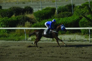 ΙΠΠΟΔΡΟΜΟΣ ΚΥΠΡΟΣ / IPPODROMOS KYPROS ΣΑΝ ΧΟΖΕ - 29/04/2026