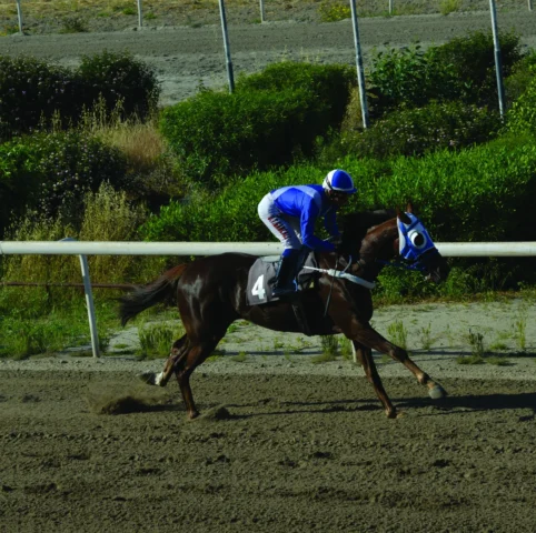 ΙΠΠΟΔΡΟΜΟΣ ΚΥΠΡΟΣ / IPPODROMOS KYPROS ΣΑΝ ΧΟΖΕ - 29/04/2026