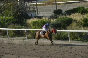 ΙΠΠΟΔΡΟΜΟΣ ΚΥΠΡΟΣ / IPPODROMOS KYPROS ΤΑΡΑΣ ΡΟΥΤ 26/04/2026