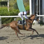 ΙΠΠΟΔΡΟΜΟΣ ΚΥΠΡΟΣ / IPPODROMOS KYPROS - ΕΣΣΑΠΕ - 13/04/2026