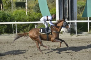 ΙΠΠΟΔΡΟΜΟΣ ΚΥΠΡΟΣ / IPPODROMOS KYPROS - ΕΣΣΑΠΕ - 13/04/2026