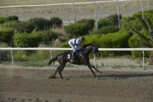 ΙΠΠΟΔΡΟΜΟΣ ΚΥΠΡΟΣ / IPPODROMOS KYPROS