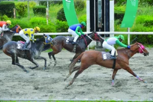 ΙΠΠΟΔΡΟΜΟΣ ΚΥΠΡΟΣ / IPPODROMOS KYPROS